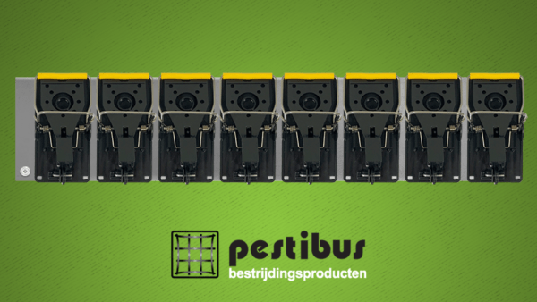 PestiBus TrapDeck